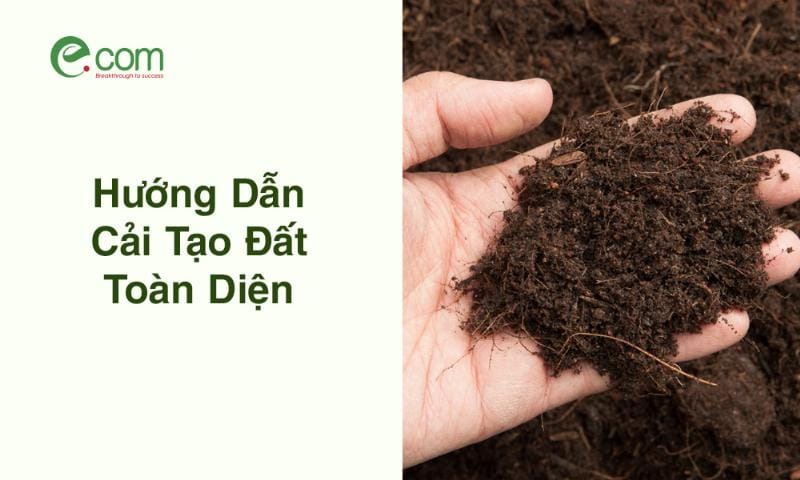 cải tạo đất sét trồng cây bằng cách bổ sung phân compost